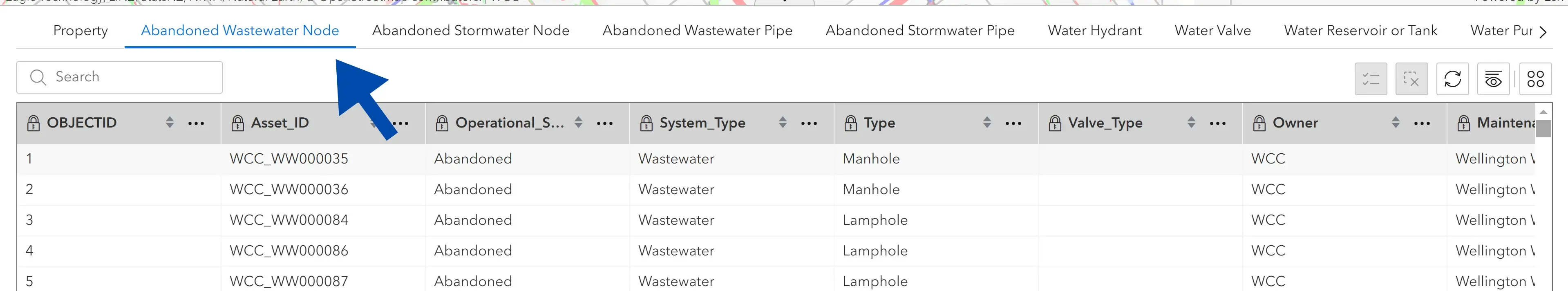 Attribute Table Widget