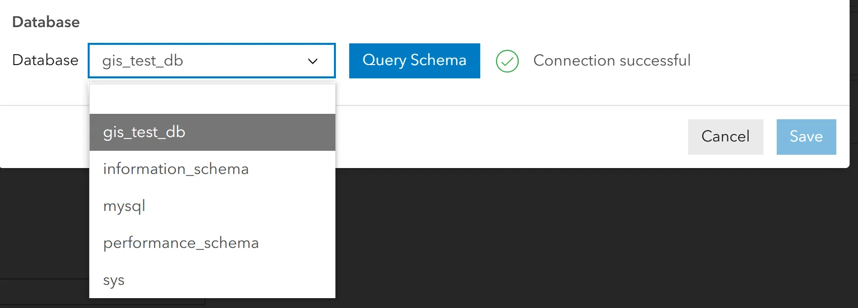 Datasource Database Provider Form Query Schema