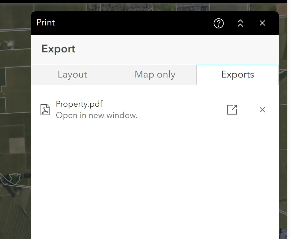 Print Widget Exports