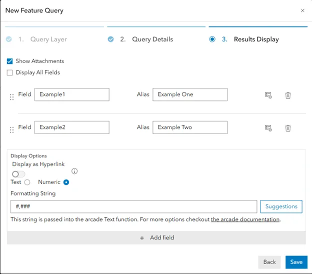 Stored Procedure Feature Query Manual Fields
