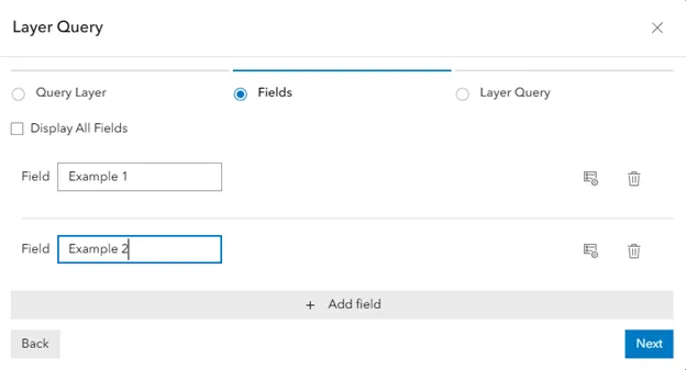 Stored Procedure Report Fields